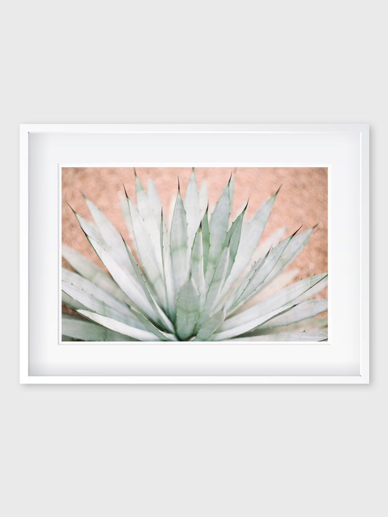L' Agave