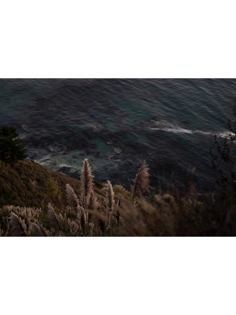 wild-coast_0 wild-coast_0