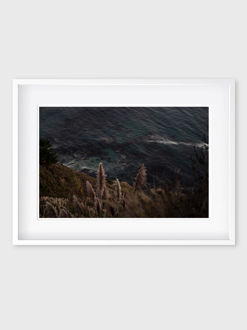 wild-coast_1 wild-coast_1